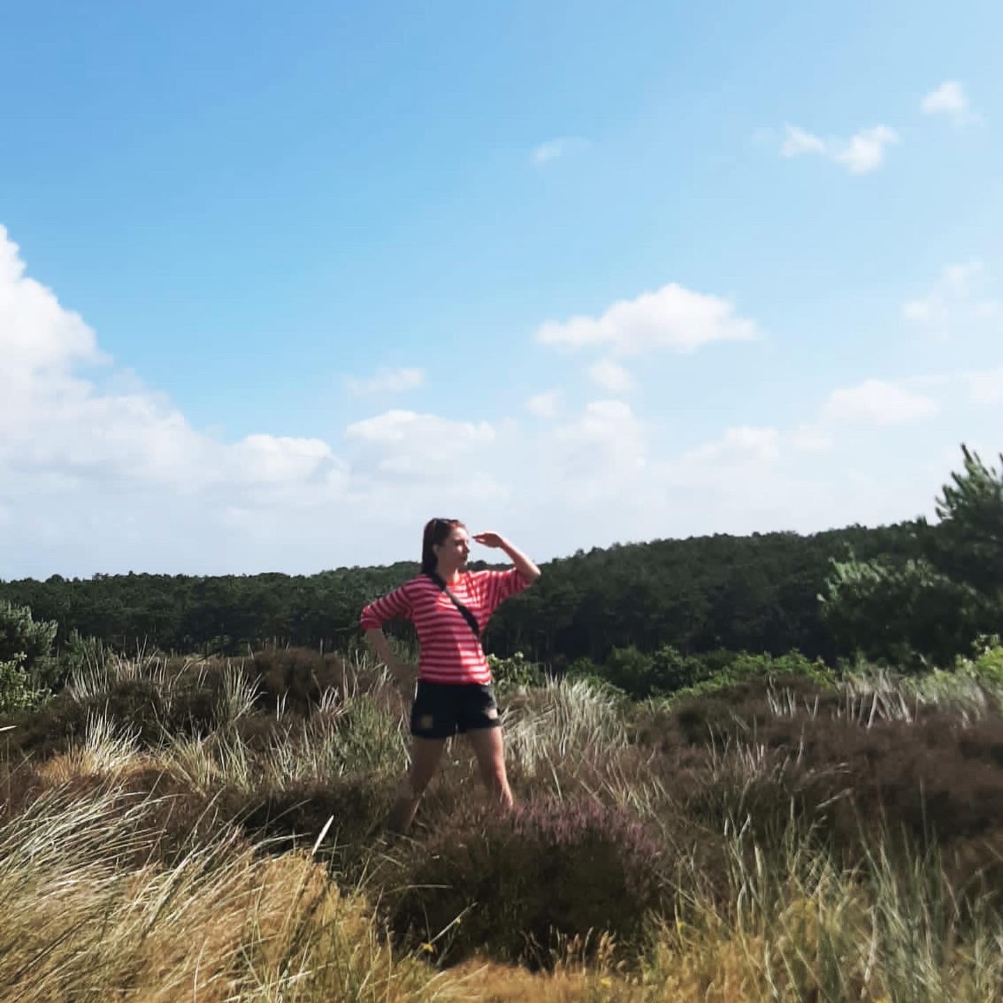 Vlieland ontdekken